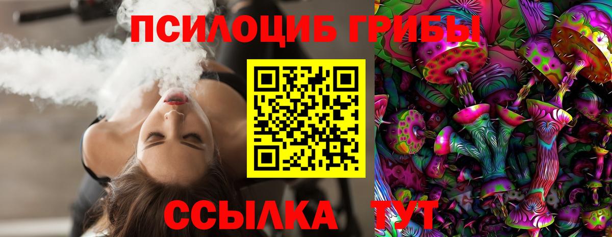 Губаха  Псилоцибиновые грибы Cubensis  Галлюциногенные грибы Cubensis  Вход с VPN 