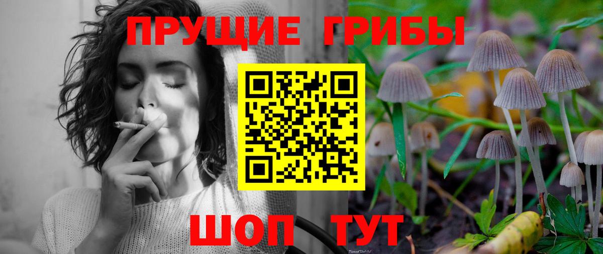 Галлюциногенные грибы мицелий Губаха